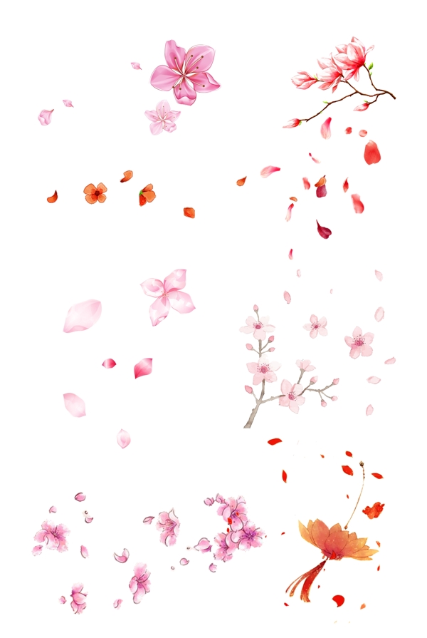 花瓣