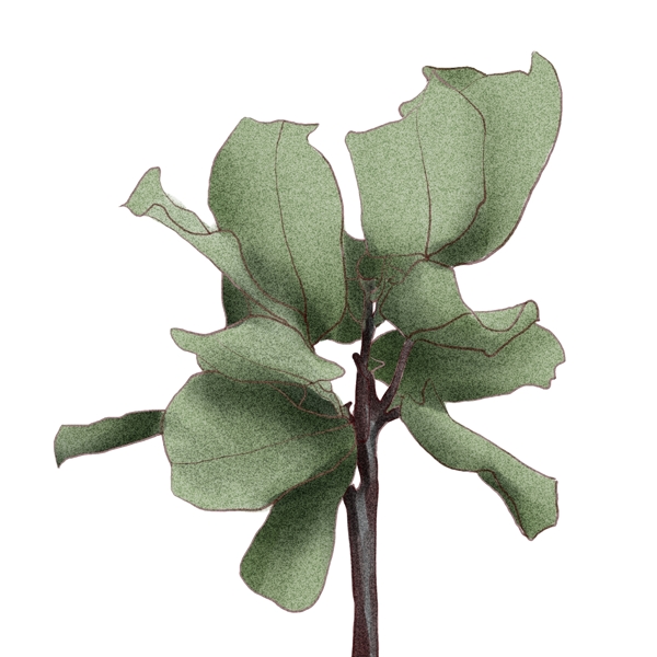 24節(jié)氣樹葉處暑原創(chuàng)商用元素