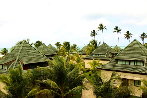 椰树林里的别墅摄影图片