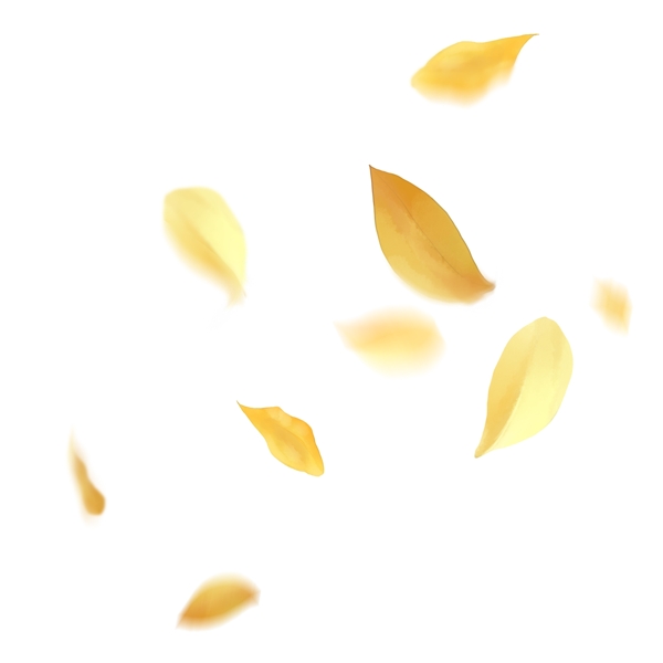 漂浮的黄叶秋天飘零的黄色树叶