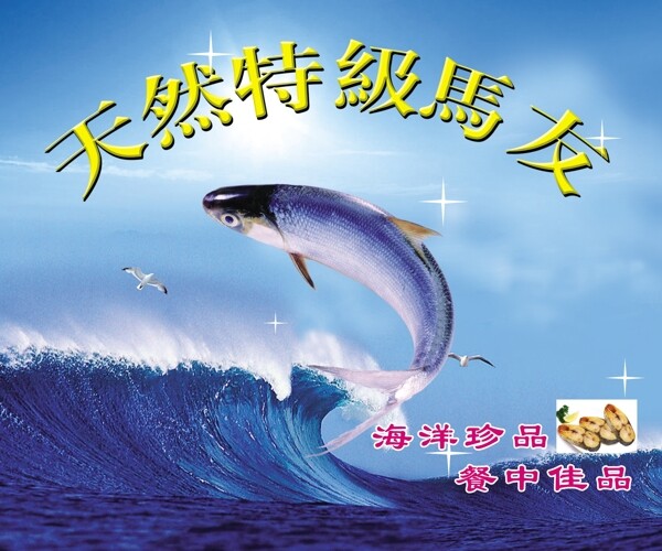 马友鱼海报设计波涛汹涌海浪冷色调海鲜豪放翻跃马友鱼鱼图片