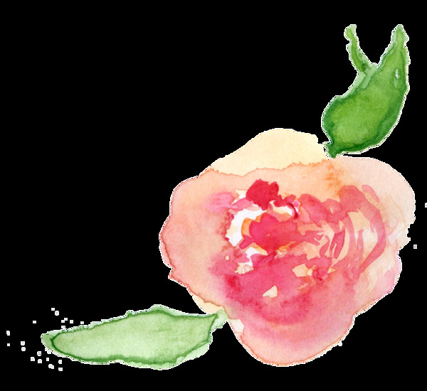 水嫩花蕾透明裝飾素材