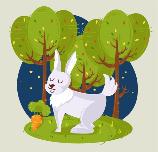 森林里的白兔图片