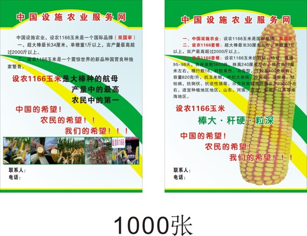 玉米