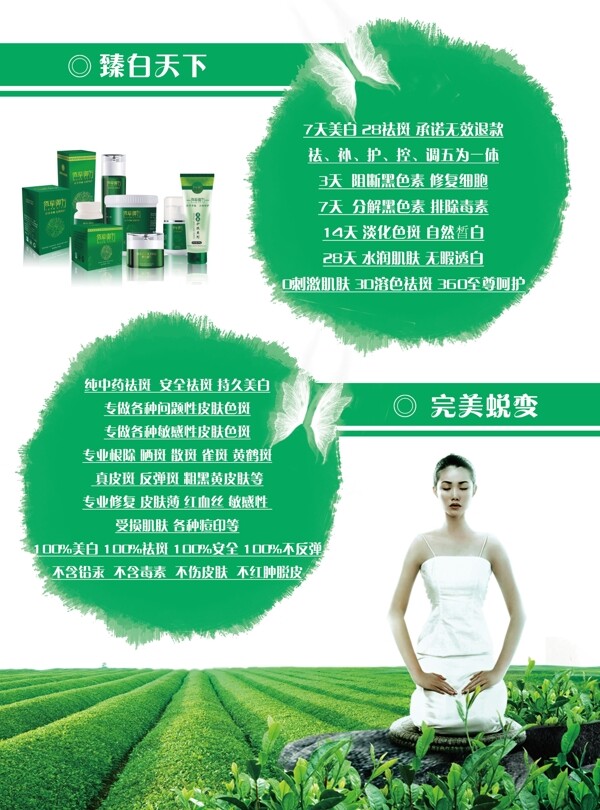 綠色養(yǎng)生宣傳單圖片
