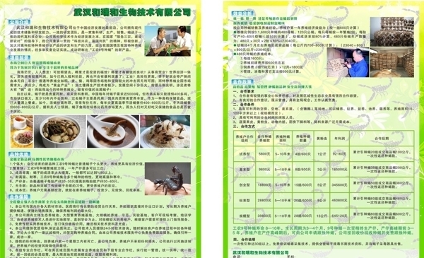 蝎子養(yǎng)殖傳單圖片
