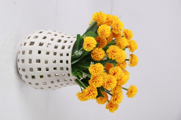 黃花圖片