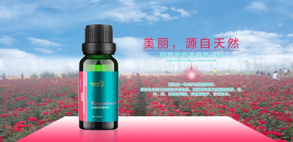 素萃玫瑰純萃精華油