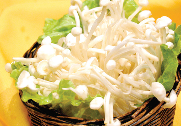 金針菇