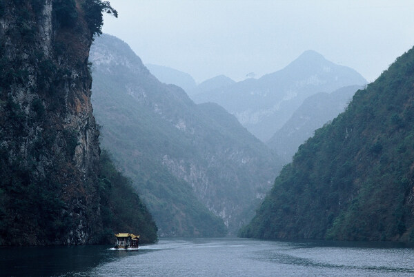 樹植物水風(fēng)景