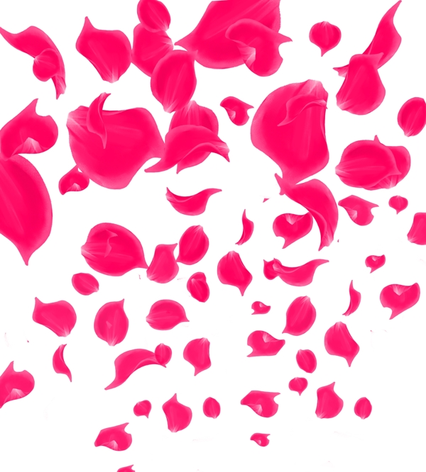 情人节红色的花瓣插画
