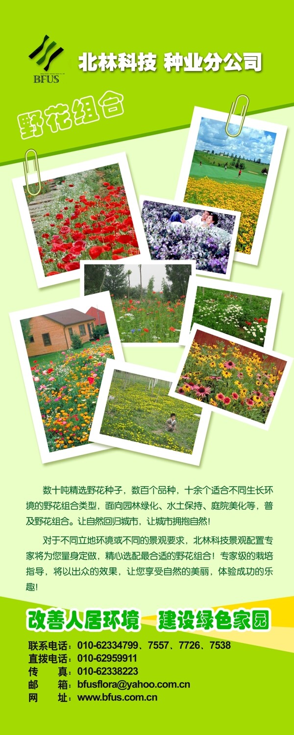 花卉易拉寶圖片