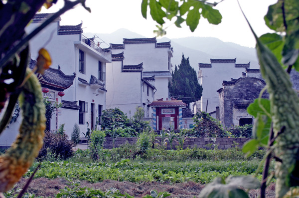 婺源風(fēng)光