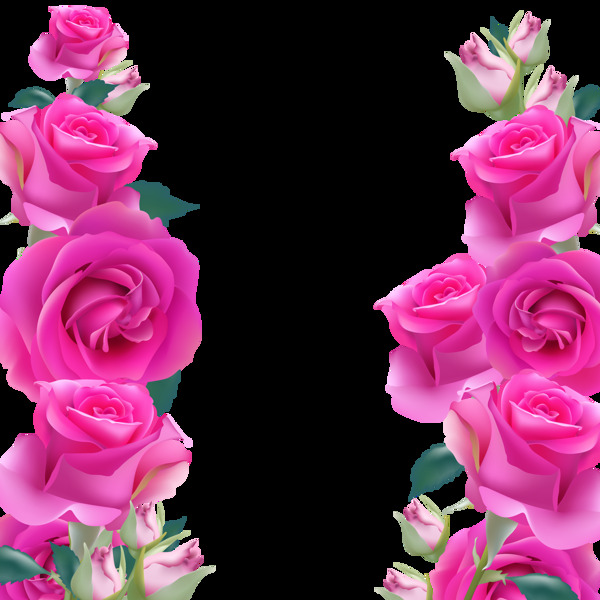 粉色玫瑰花装饰png元素素材