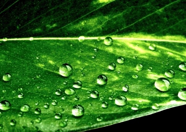水珠