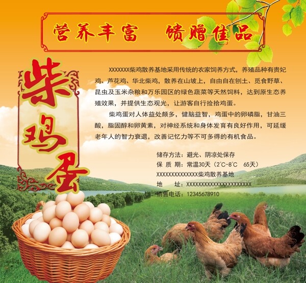 柴雞蛋副本