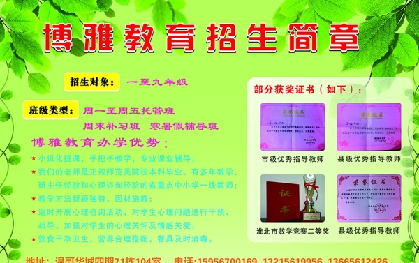 招生簡章綠色展板