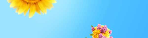 淘寶首頁(yè)banner