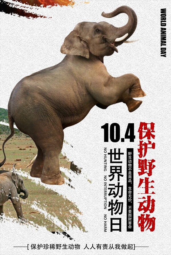世界动物保护日海报设计