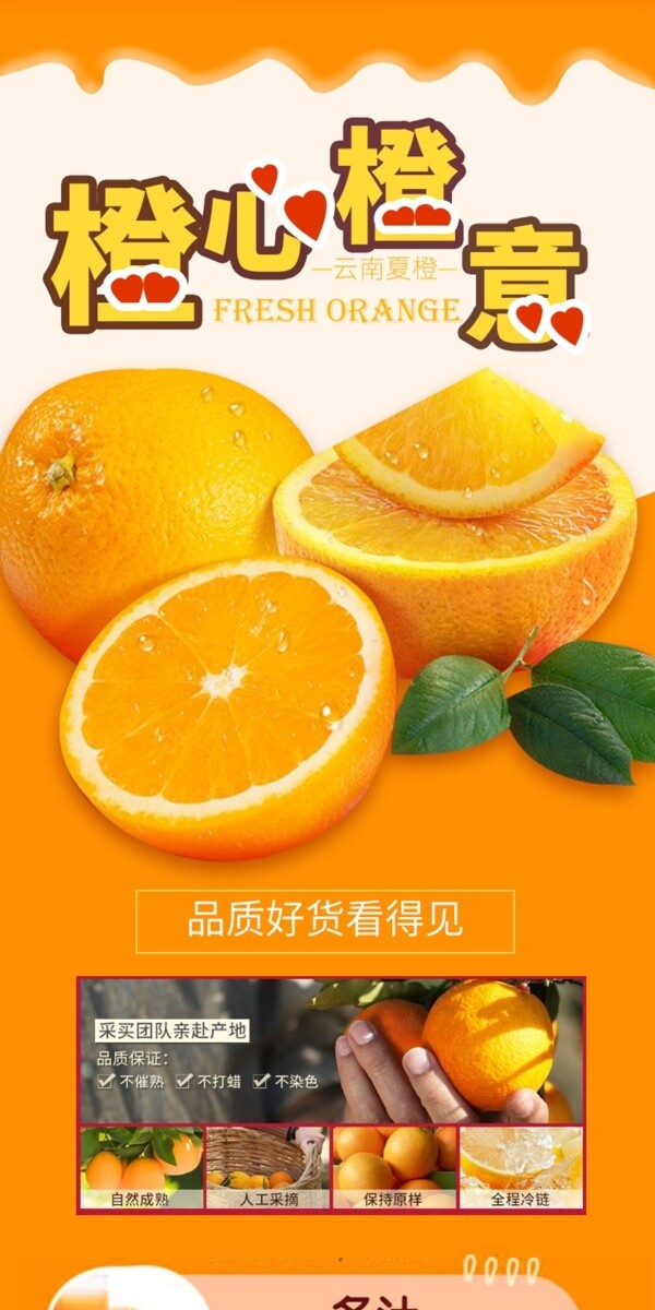 99橙子水果生鲜详情页设计模板