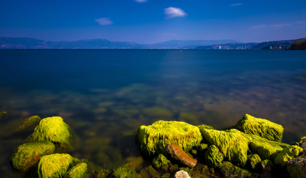 云南撫仙湖風(fēng)景