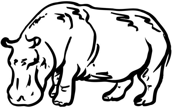 野生動物矢量素材eps格式0034
