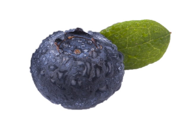 一个可口新鲜的蓝莓