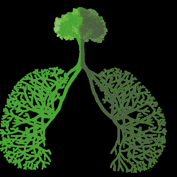 绿色植物做成的肺部开状