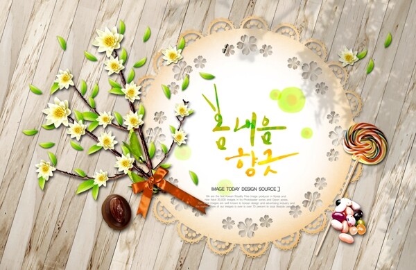 韩国风格花卉插画