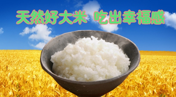 大米