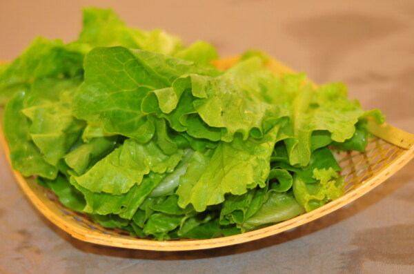 生菜圖片