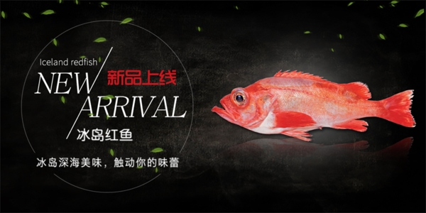 红鱼网页banner