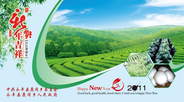 郵政普卡圖片