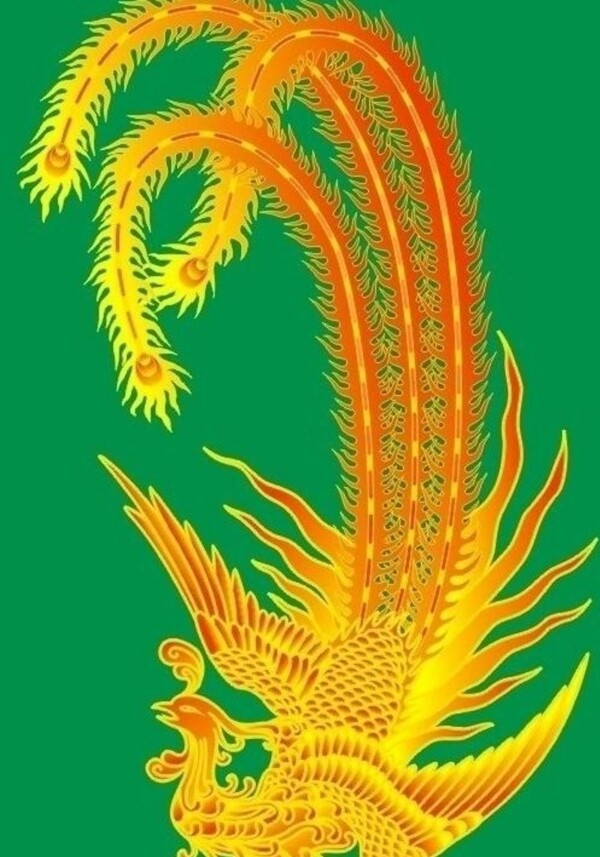 鳳凰圖片