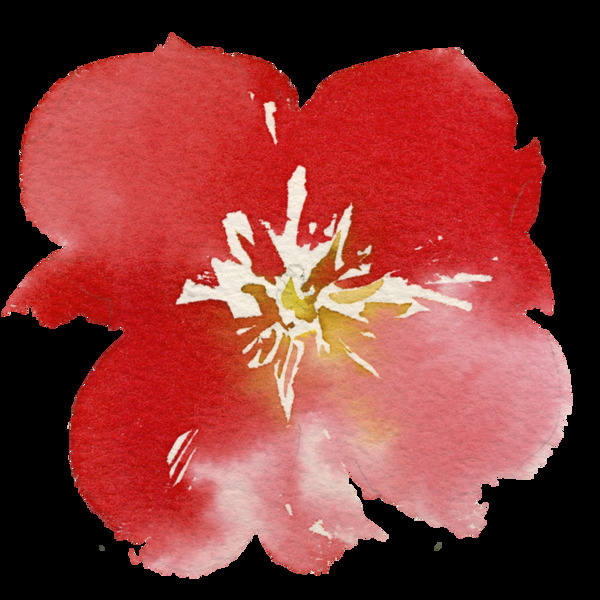 手绘熏染红色花朵PNG透明素材