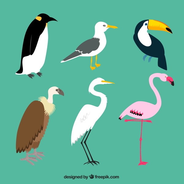 6种创意鸟类设计矢量素材