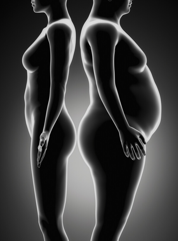 瘦身女性与肥胖女性图片
