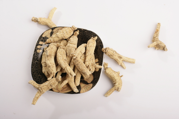 花旗參藥材養(yǎng)生圖片