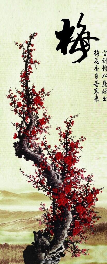 梅圖片