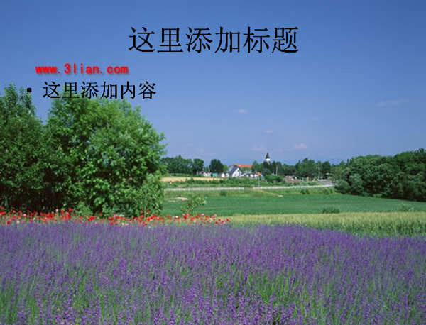 田園風光