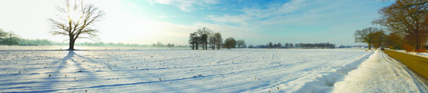 宽幅冬季雪景图片