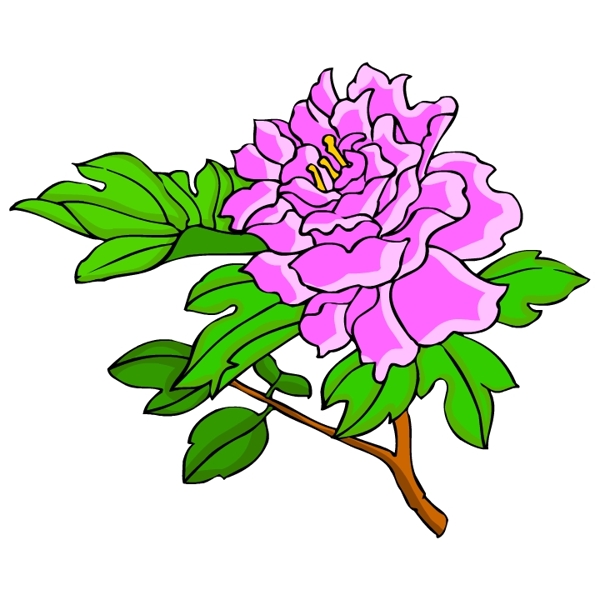 花卉古典插畫