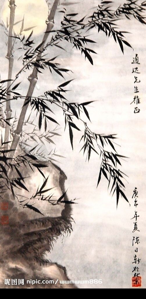 竹韵图片