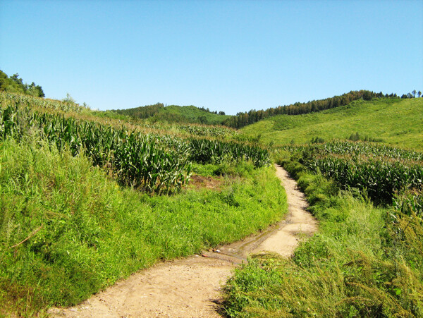 鄉(xiāng)間小路