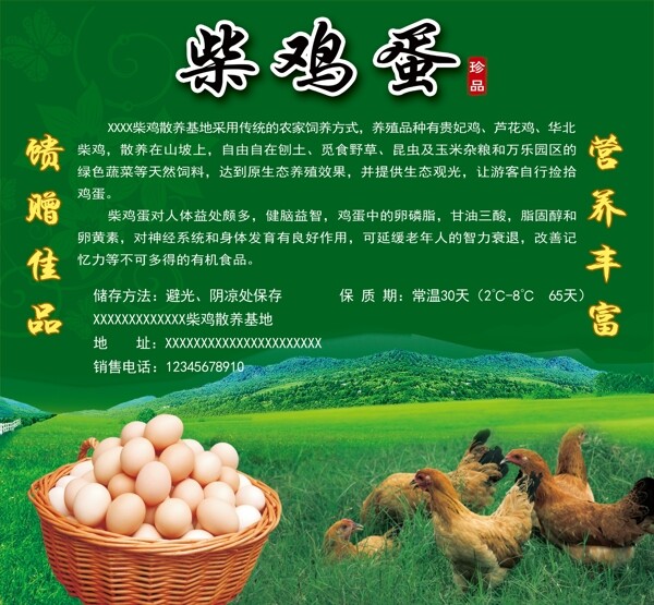 柴雞蛋副本