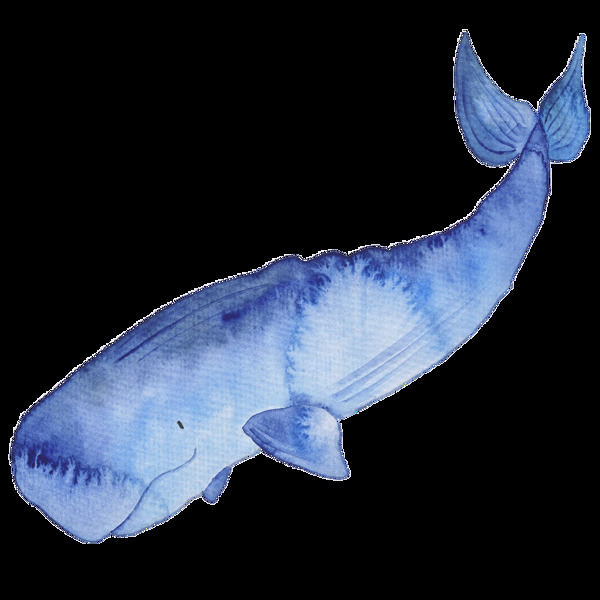 蓝色手绘鲸鱼卡通水彩素材