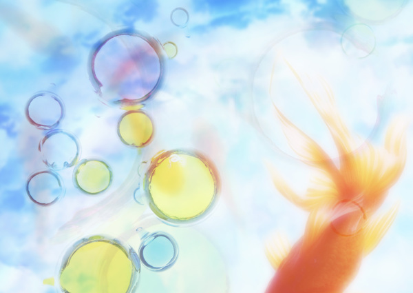 天水泡五顏六色魚圖片