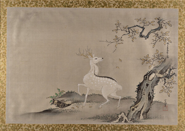 國(guó)畫(huà)白鹿圖片