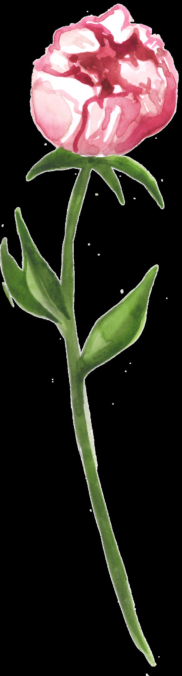 包裹花心透明裝飾素材