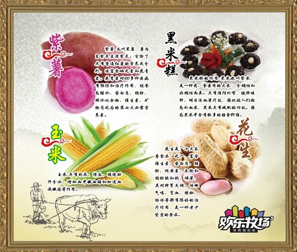 菜譜展板
